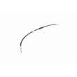 Flexible de frein VAICO V10-4213 - Visuel 2