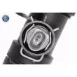 Durite de radiateur VAICO V10-4298 - Visuel 3