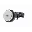 Support moteur VAICO V10-4422 - Visuel 2