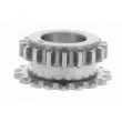 Roue dentée, vilebrequin VAICO V10-4517 - Visuel 3