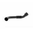 Tuyau, ventilation de carter-moteur VAICO V10-4635 - Visuel 2