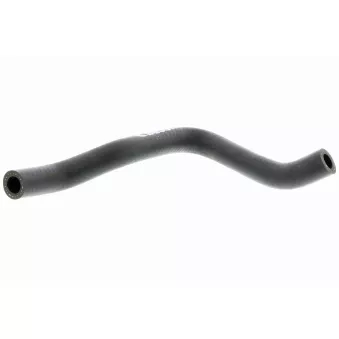 Tuyau, ventilation de carter-moteur VAICO V10-4649