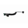 Tuyau, ventilation de carter-moteur VAICO V10-4854 - Visuel 2