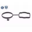 Kit pompe à eau VAICO V10-4919 - Visuel 2