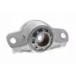 Coupelle de suspension VAICO V10-4969 - Visuel 2