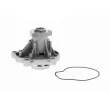 Pompe à eau VAICO V10-50059 - Visuel 1