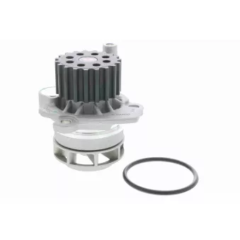 Pompe à eau VAICO V10-50073-1