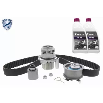 Pompe à eau + kit de courroie de distribution VAICO V10-50105