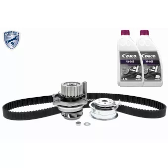 Pompe à eau + kit de courroie de distribution VAICO V10-50106