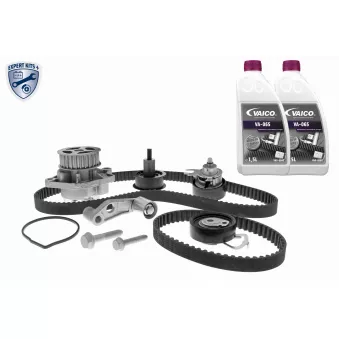 Pompe à eau + kit de courroie de distribution VAICO V10-50109