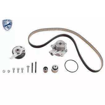 Pompe à eau + kit de courroie de distribution VAICO V10-50113-BEK