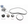 Pompe à eau + kit de courroie de distribution VAICO V10-50114-BEK - Visuel 1