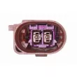 Pompe à eau, refroidissement du moteur VAICO V10-50116 - Visuel 3