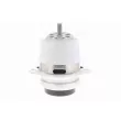 Support moteur VAICO V10-5290 - Visuel 2