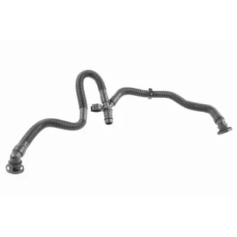 Tuyau, ventilation de carter-moteur VAICO V10-5457