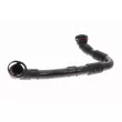 Tuyau, ventilation de carter-moteur VAICO V10-5470 - Visuel 2