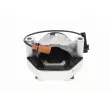 Support moteur avant droit VAICO V10-5571 - Visuel 3