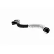 Tuyau, ventilation de carter-moteur VAICO V10-5579 - Visuel 3