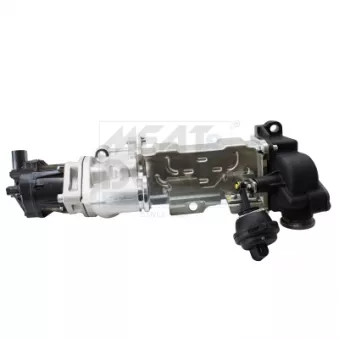 Module-EGR MEAT & DORIA 88962