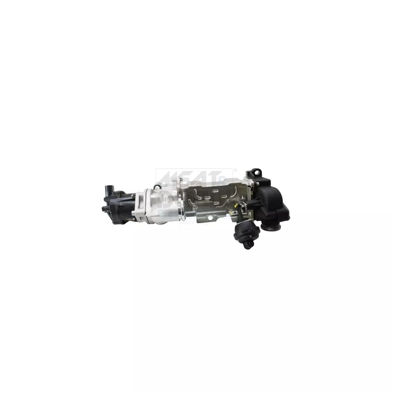 Module-EGR MEAT & DORIA 88962