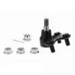 Rotule de suspension ACKOJA A26-0346 - Visuel 1