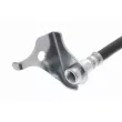 Flexible de frein ACKOJA A26-0356 - Visuel 2