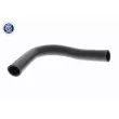 Durite de radiateur ACKOJA A26-1603 - Visuel 1