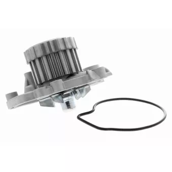 Pompe à eau ACKOJA A26-50001