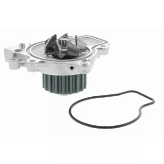 Pompe à eau ACKOJA A26-50006