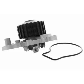 Pompe à eau ACKOJA A26-50011