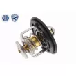 Thermostat d'eau ACKOJA A26-99-0001 - Visuel 1