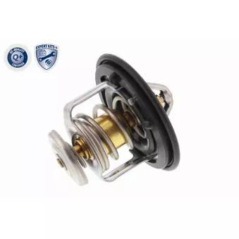 Thermostat d'eau ACKOJA A26-99-0001