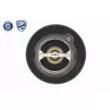 Thermostat d'eau ACKOJA A26-99-0001 - Visuel 2