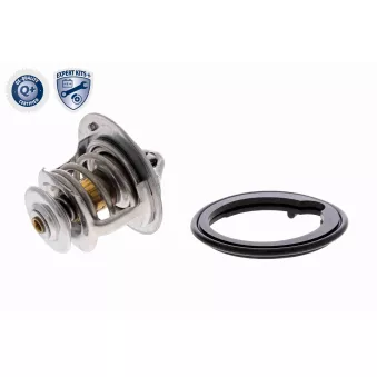 Thermostat d'eau ACKOJA A26-99-0007