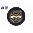 Thermostat d'eau ACKOJA A26-99-0007 - Visuel 3