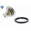 Thermostat d'eau ACKOJA A26-99-0008 - Visuel 1