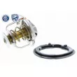 Thermostat d'eau ACKOJA A26-99-0009 - Visuel 1