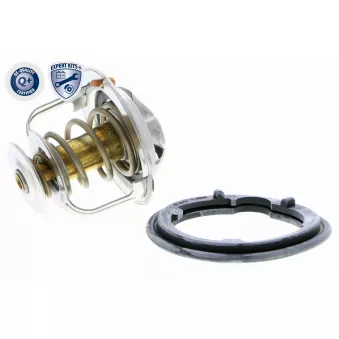 Thermostat d'eau ACKOJA A26-99-0009