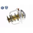 Thermostat d'eau ACKOJA A26-99-0009 - Visuel 3