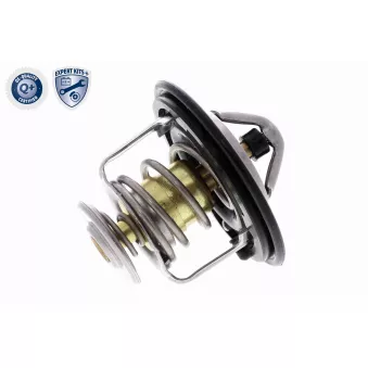 Thermostat d'eau ACKOJA A26-99-0010