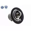 Thermostat d'eau ACKOJA A26-99-0010 - Visuel 3