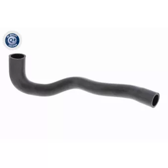 Durite de radiateur ACKOJA A32-1603