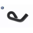 Durite de radiateur ACKOJA A32-1608 - Visuel 3