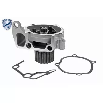 Pompe à eau ACKOJA A32-50008