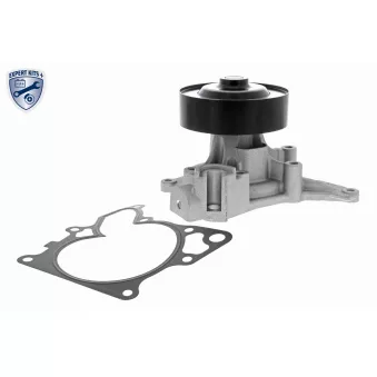 Pompe à eau ACKOJA A32-50015