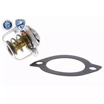 Thermostat d'eau ACKOJA A32-99-0004
