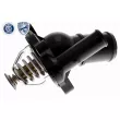 Thermostat d'eau ACKOJA A32-99-0005 - Visuel 1