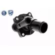 Thermostat d'eau ACKOJA A32-99-0005 - Visuel 3