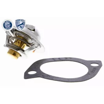 Thermostat d'eau ACKOJA A32-99-1701