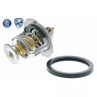 Thermostat d'eau ACKOJA A32-99-1703